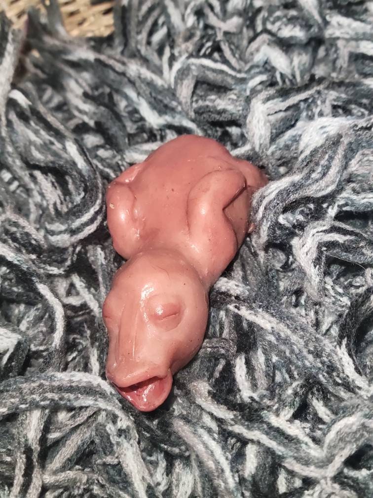 silicone newborn baby bird birdie