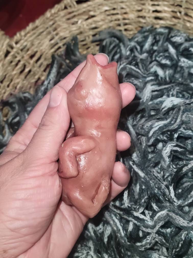 silicone newborn baby bird birdie