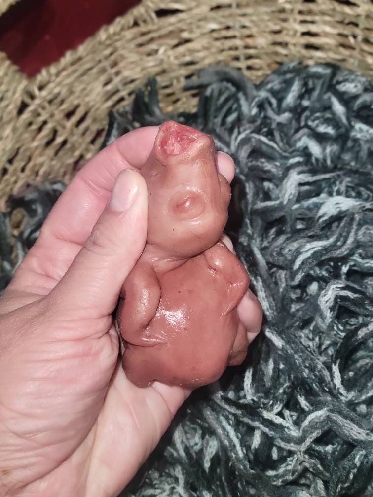 silicone newborn baby bird birdie