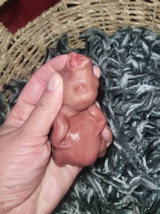 silicone newborn baby bird birdie