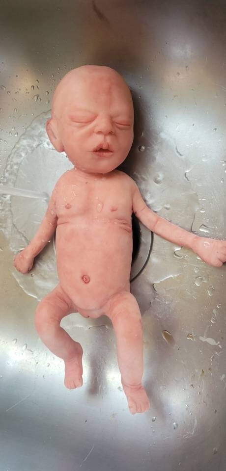 Full Body Silicone baby 13" josie