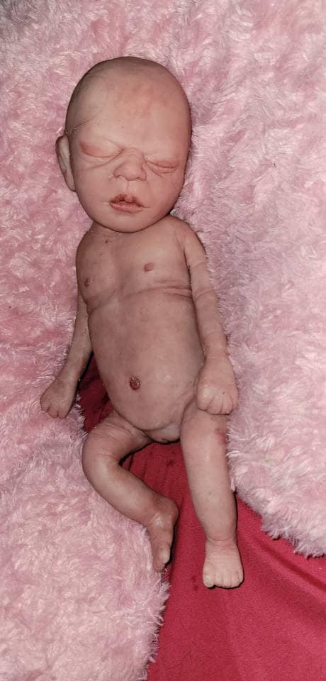 Full Body Silicone baby 13" josie