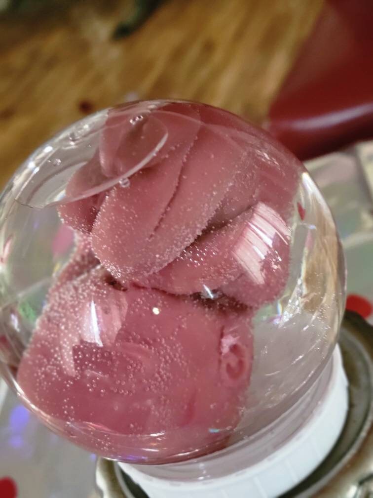 20 week gestational silicone fetus baby in water jar