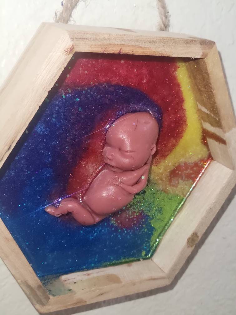 Ready to ship 13 week gestational silicone fetus in Beautiful wood frame with resin RAINBOW background