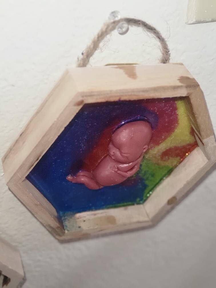 Ready to ship 13 week gestational silicone fetus in Beautiful wood frame with resin RAINBOW background