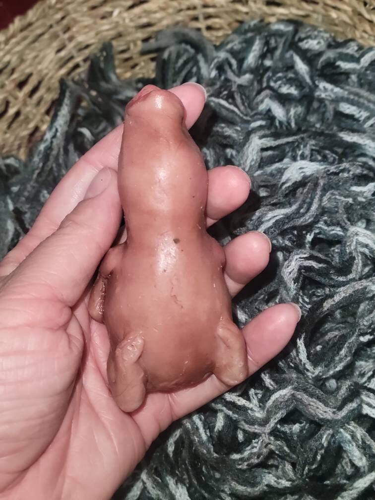 silicone newborn baby bird birdie