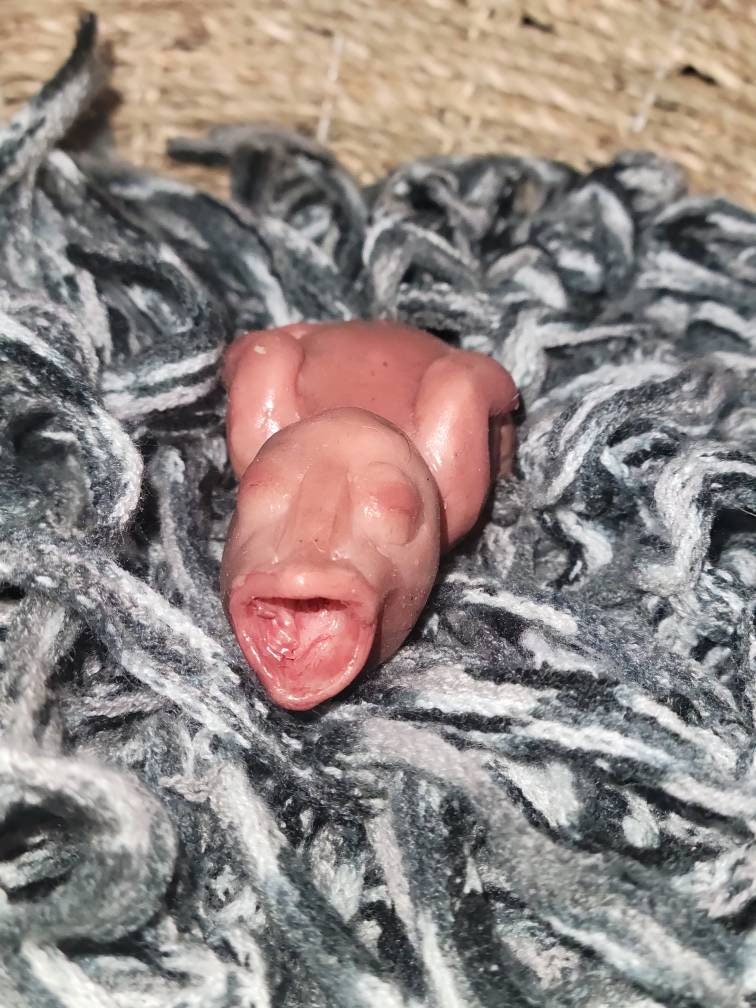 silicone newborn baby bird birdie