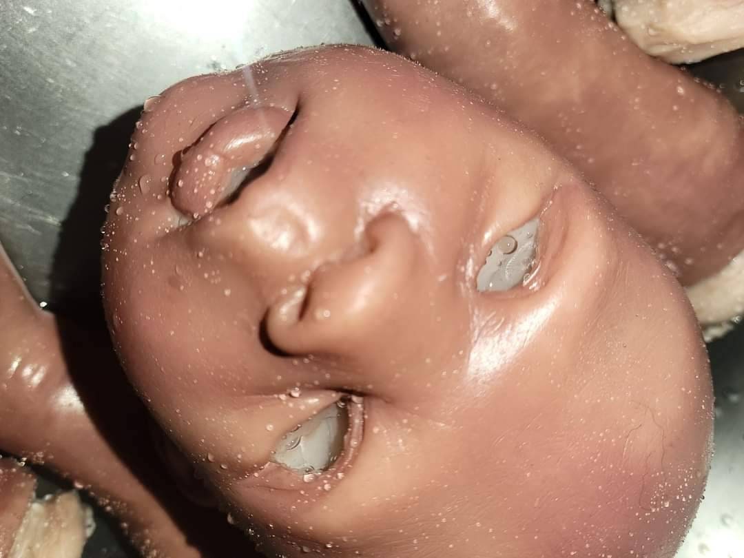 24" Full Body Silicone Baby Boy or girl 6 month old size!! Mason/madison toddler