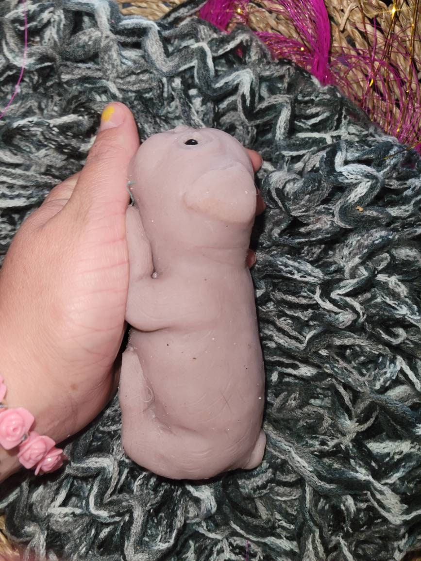 6" silicone puppy dog pug
