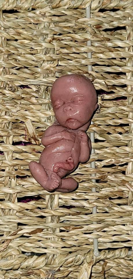 14 week gestational fetus silicone memorial baby PAINTED