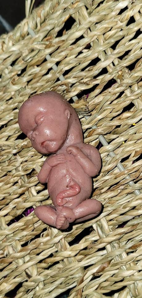14 week gestational fetus silicone memorial baby PAINTED