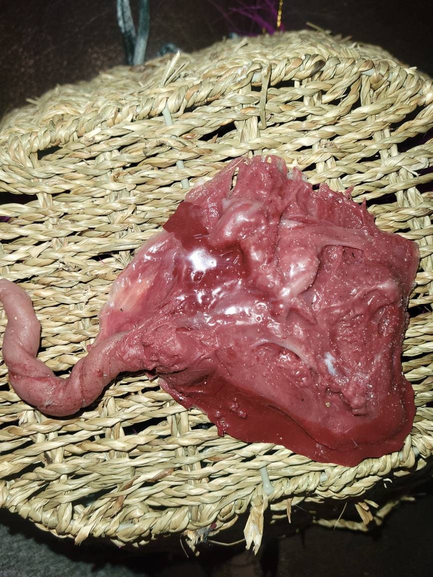 warning graphic** Silicone placenta and umbilical cord for silicone baby