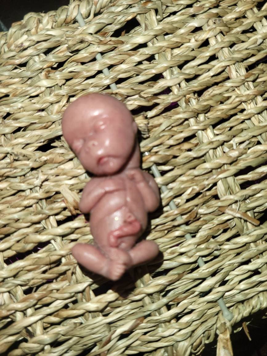 14 week gestational fetus silicone memorial baby PAINTED