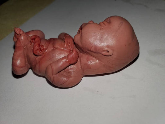 14 week Gestational silicone memorial fetus baby painted PAINTED