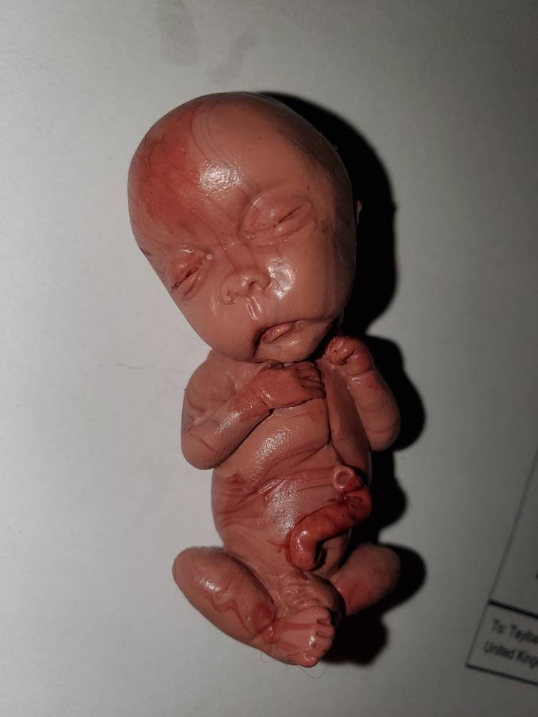 14 week Gestational silicone memorial fetus baby painted PAINTED