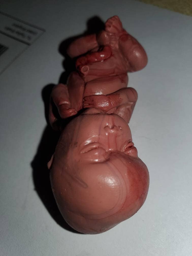 14 week Gestational silicone memorial fetus baby painted PAINTED