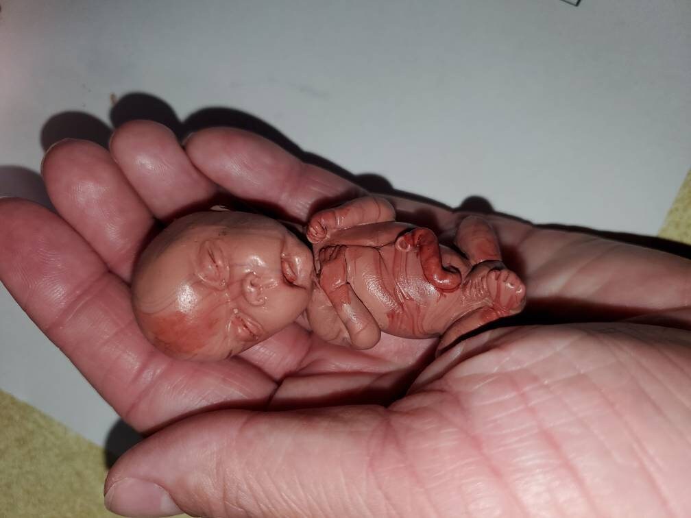 14 week Gestational silicone memorial fetus baby painted PAINTED
