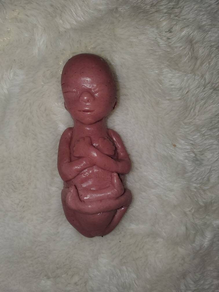 20 week Gestational silicone fetus baby memorial