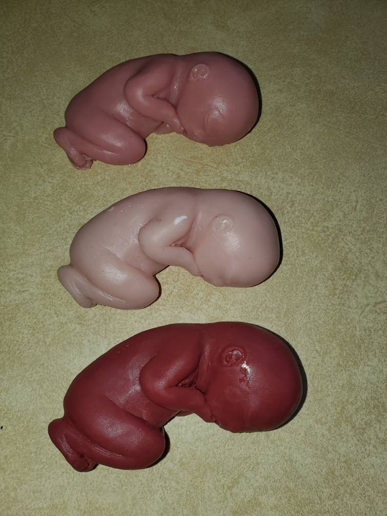 20 week gestational fetus memorial silicone baby