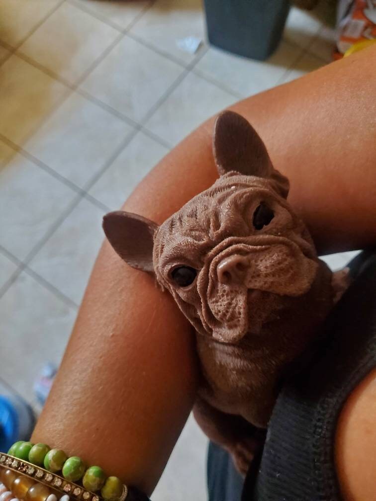 10" Full Body Silicone frenchie puppy dog open eyes cutie you choose color