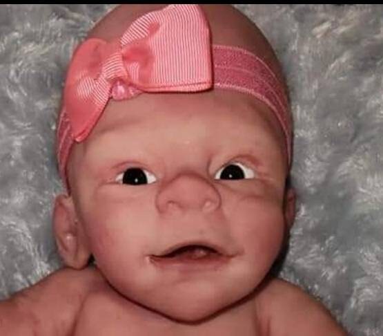 Silicone baby head and limbs for cuddle body or full Body silicone 19"
