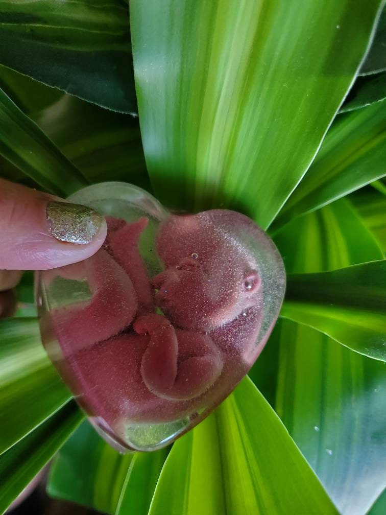 Memorial silicone babies inside resin heart