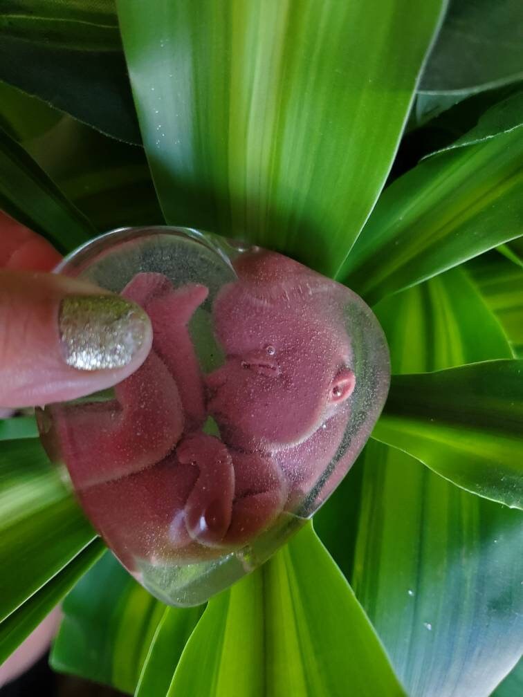 Memorial silicone babies inside resin heart