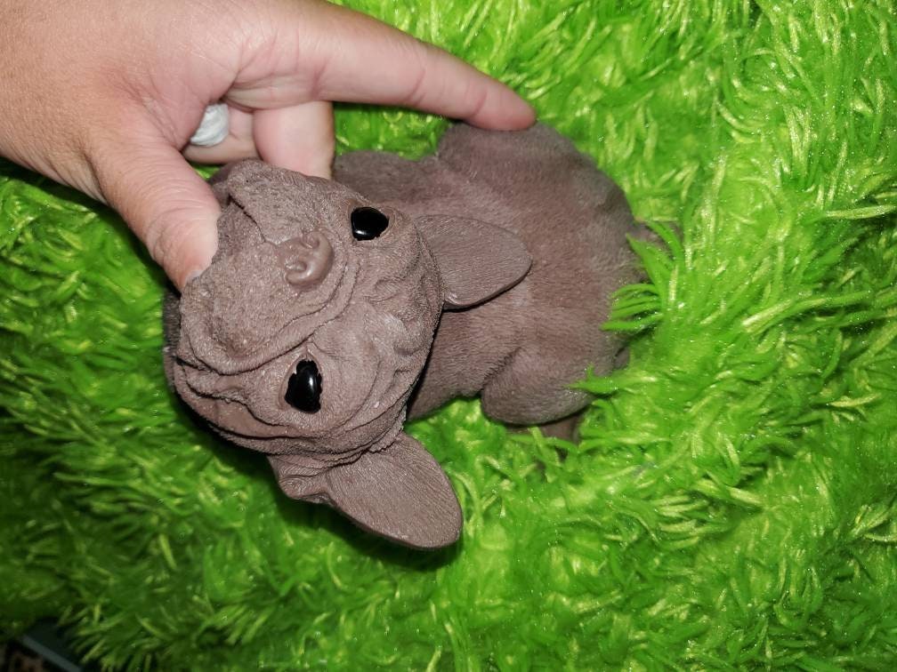 10" Full Body Silicone frenchie puppy dog open eyes cutie you choose color