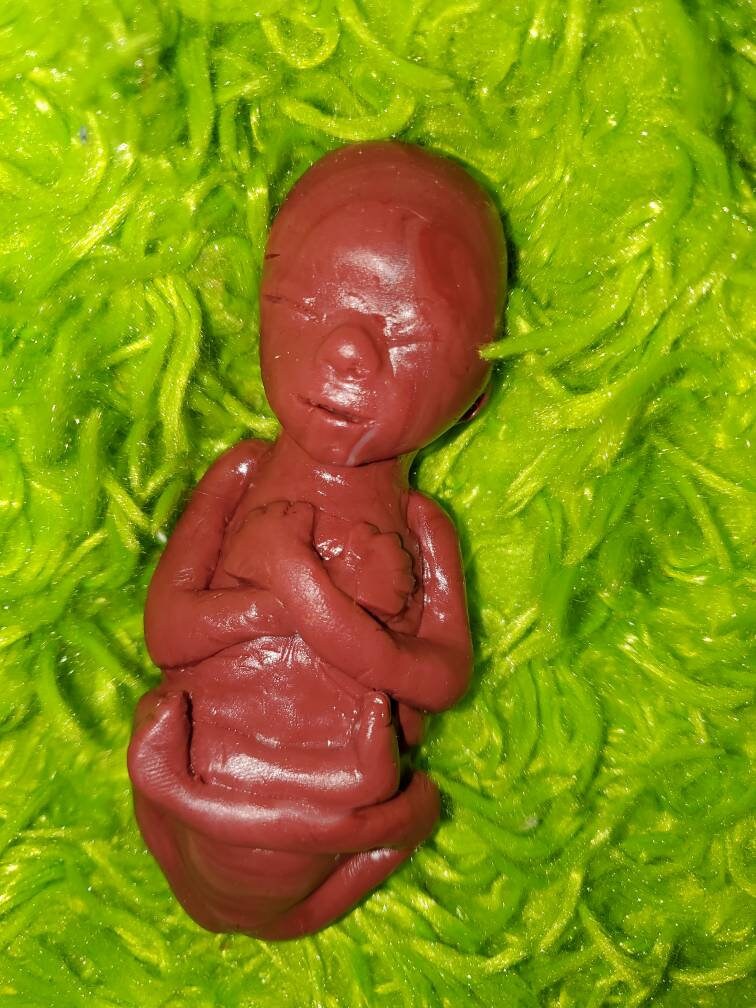 20 week Gestational silicone fetus baby memorial