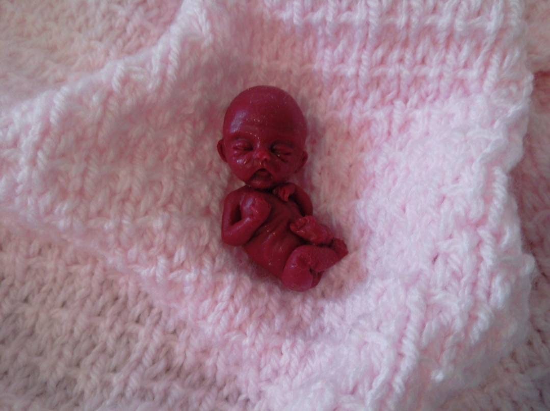 12 week realistic lifelike fetus silicone memorial fetus baby keepsake