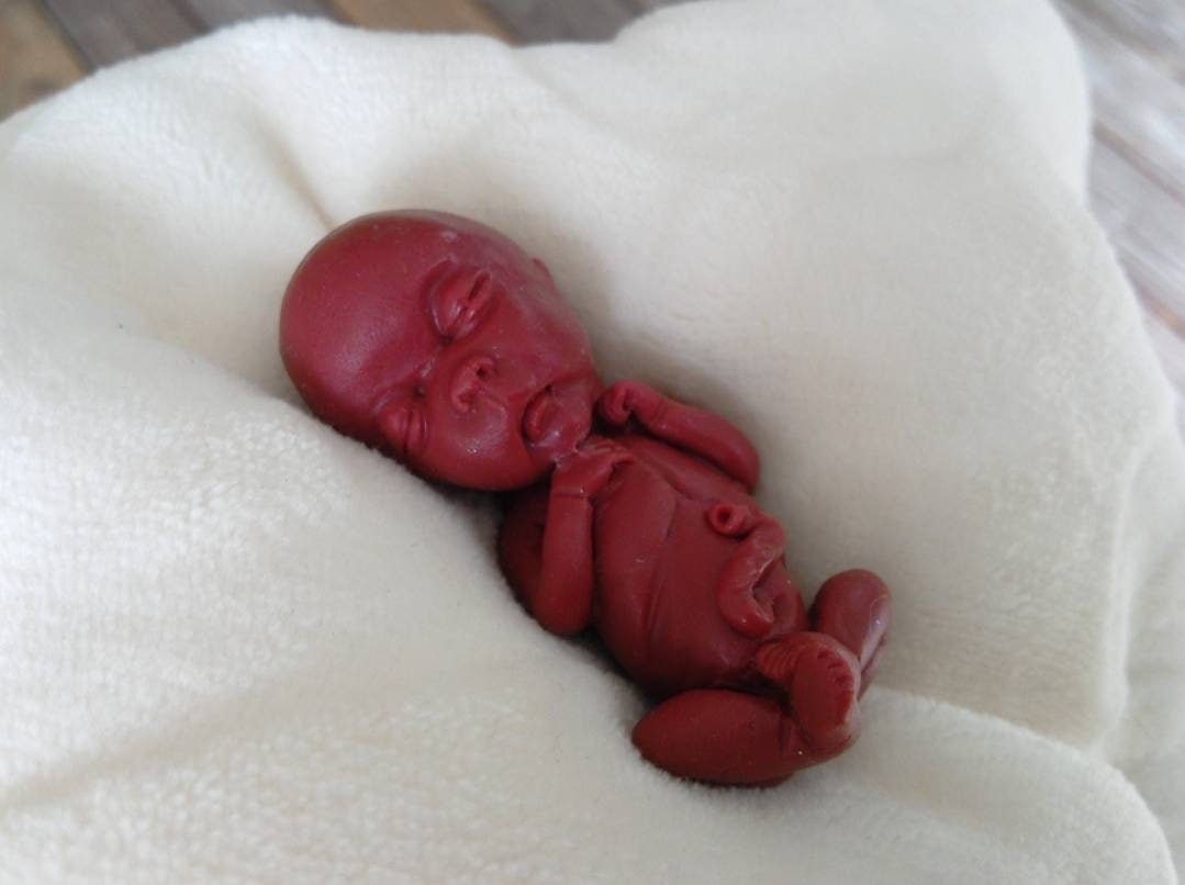 14 week gestation fetus memorial silicone baby keepsake