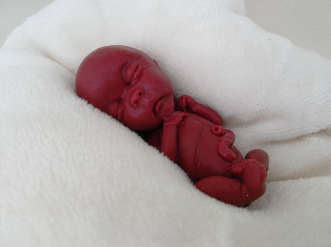 14 week gestation fetus memorial silicone baby keepsake
