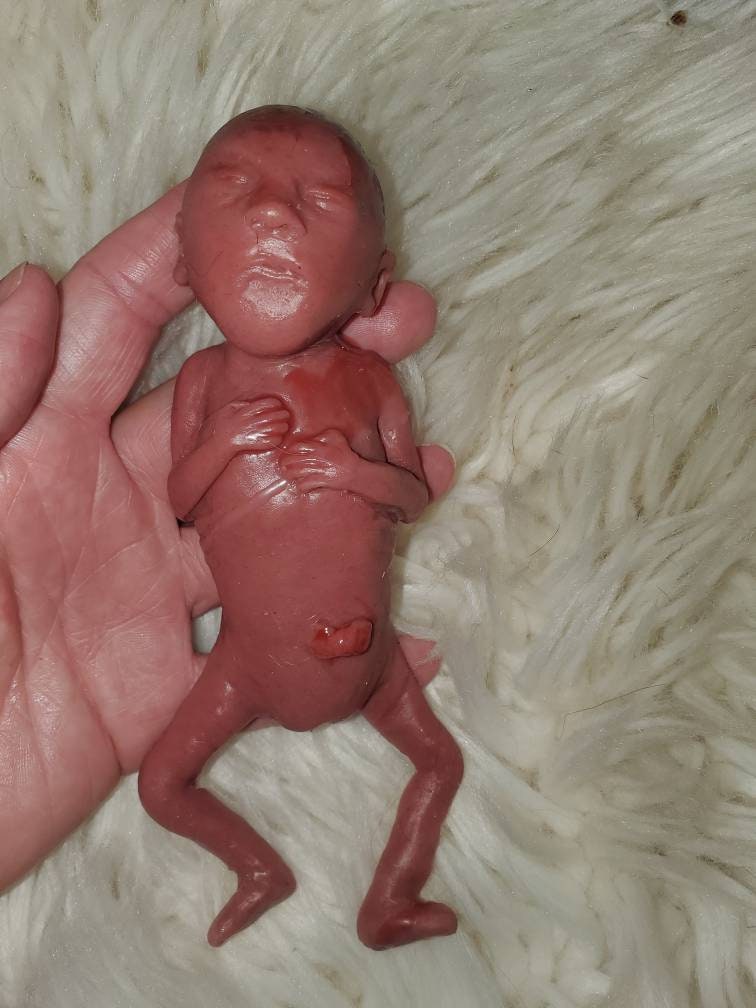 Silicone memorial fetus silicone baby girl 19 week gestation