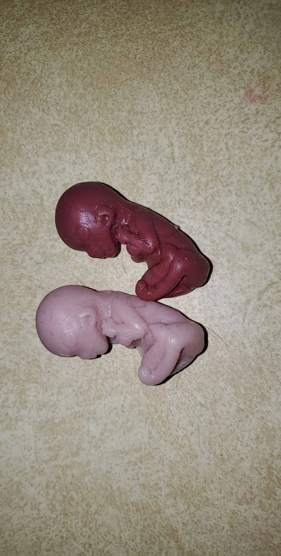 12 week gestational fetus silicone baby cute