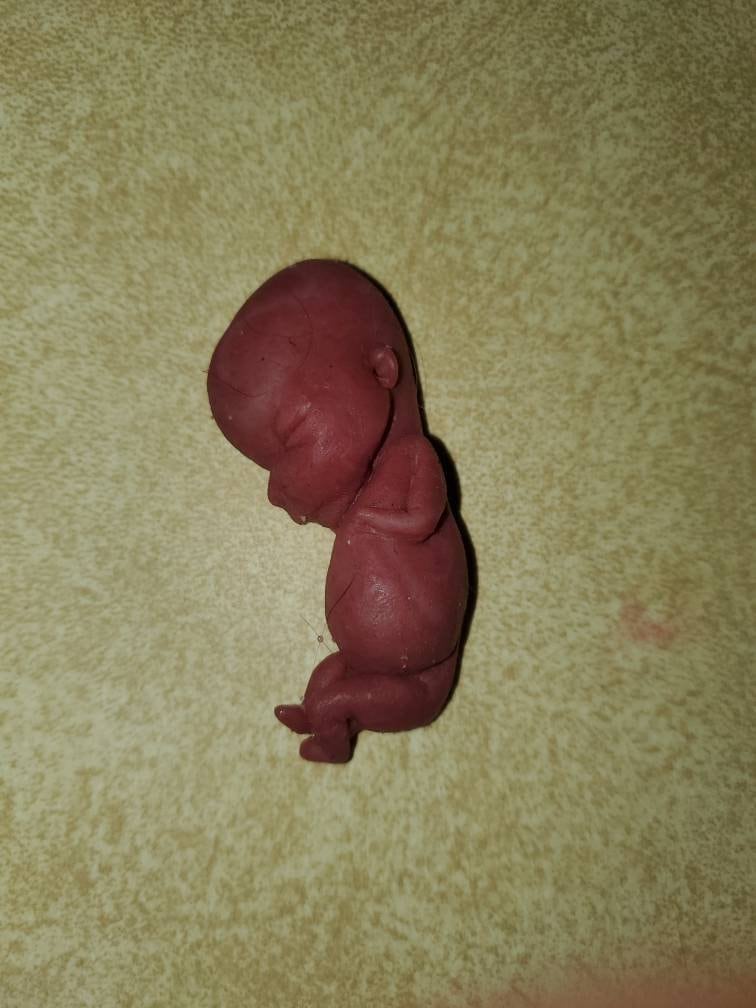 12 week gestation fetus memorial baby silicone baby keepsake