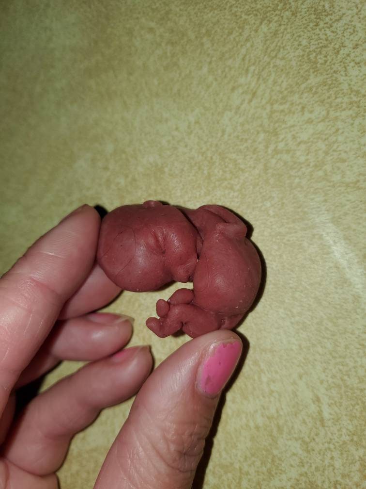 12 week gestation fetus memorial baby silicone baby keepsake