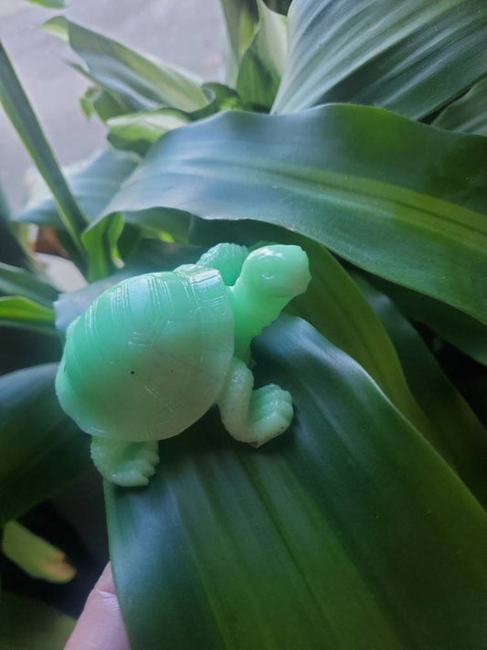 3" full body baby turtle