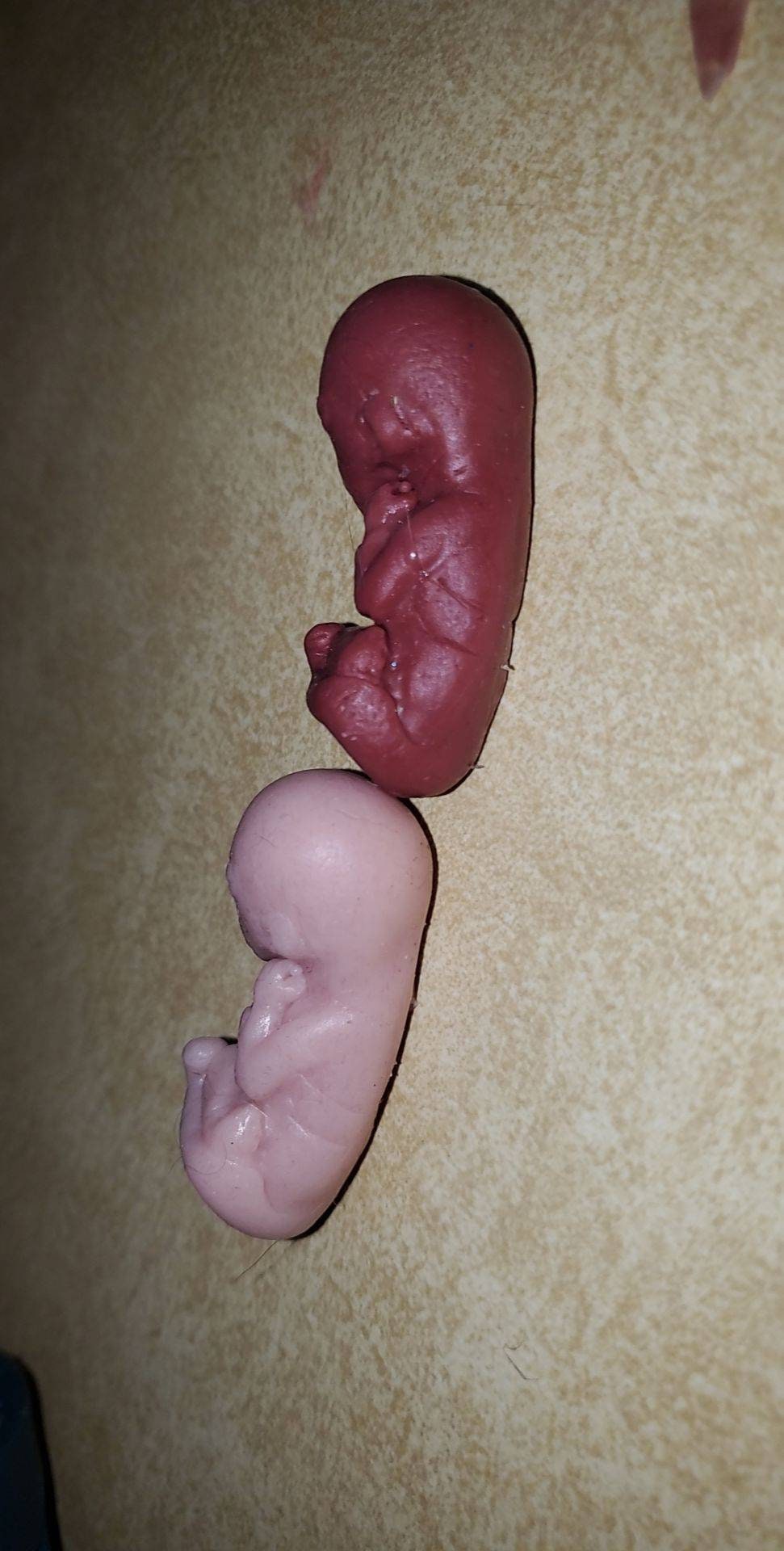12 week gestational fetus silicone baby cute
