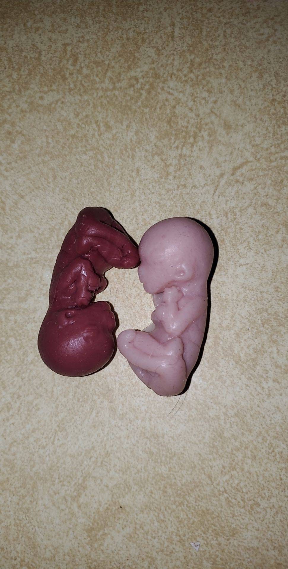 12 week gestational fetus silicone baby cute