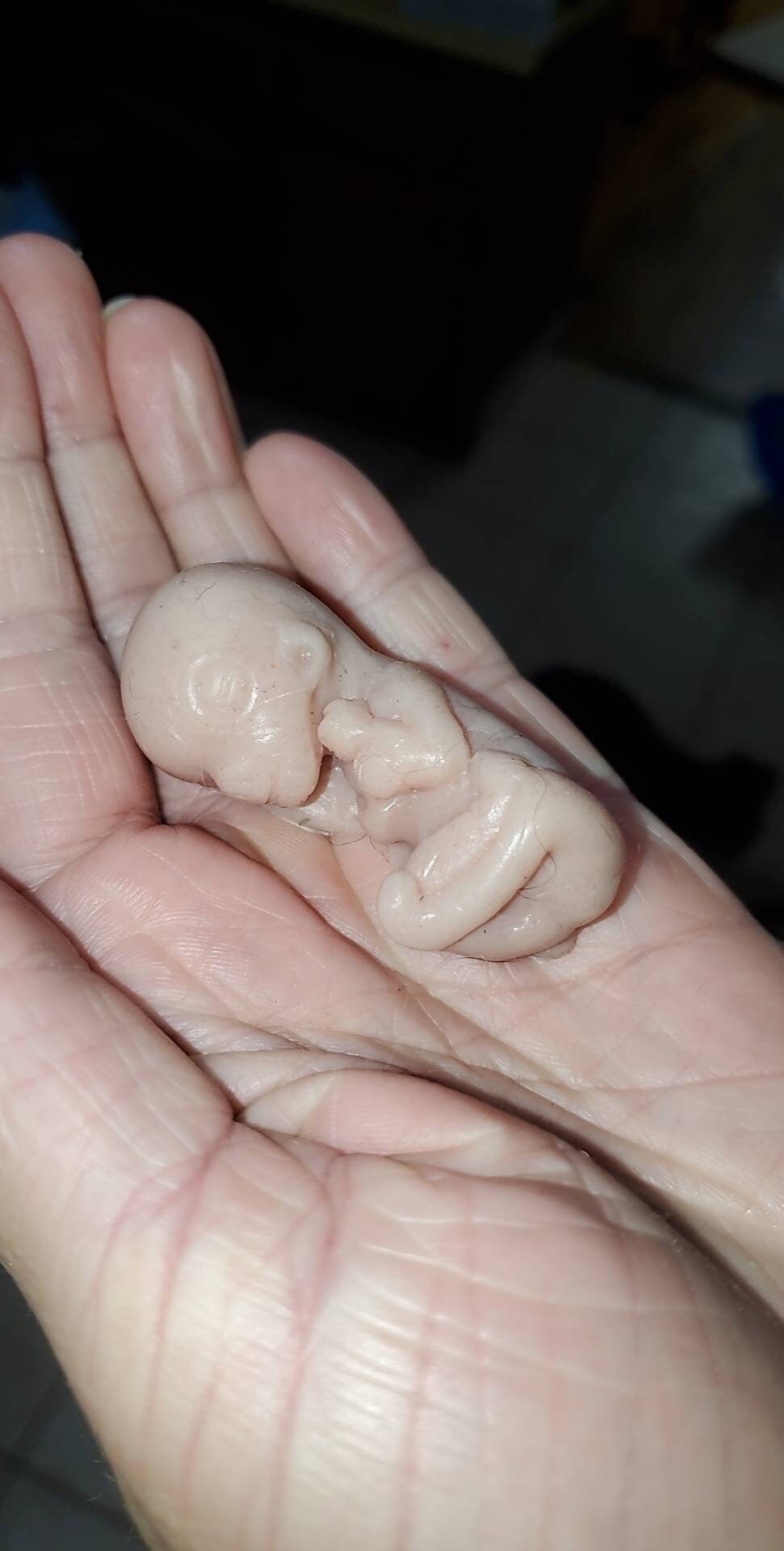 12 week gestational fetus silicone baby cute