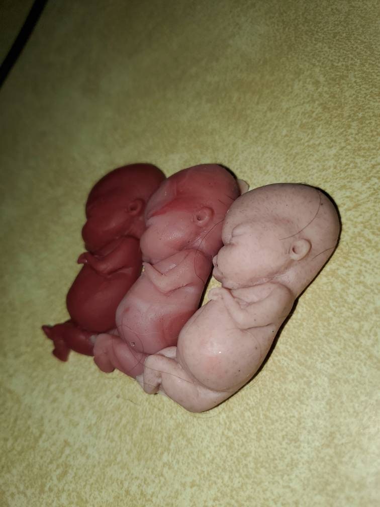 12 week gestation fetus memorial baby silicone baby keepsake