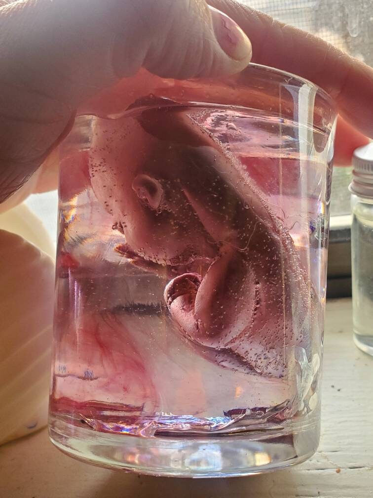 Memorial silicone fetus is glass jar with resin beautiful gift or for display