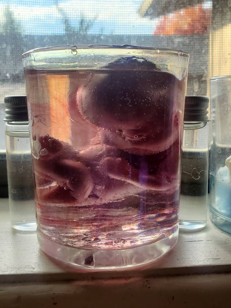 Memorial silicone fetus is glass jar with resin beautiful gift or for display