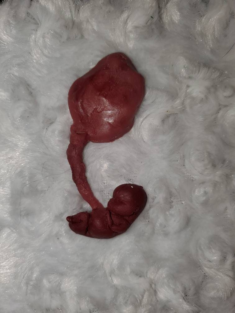 fetus silicone baby memorial with umbilical cord attached
