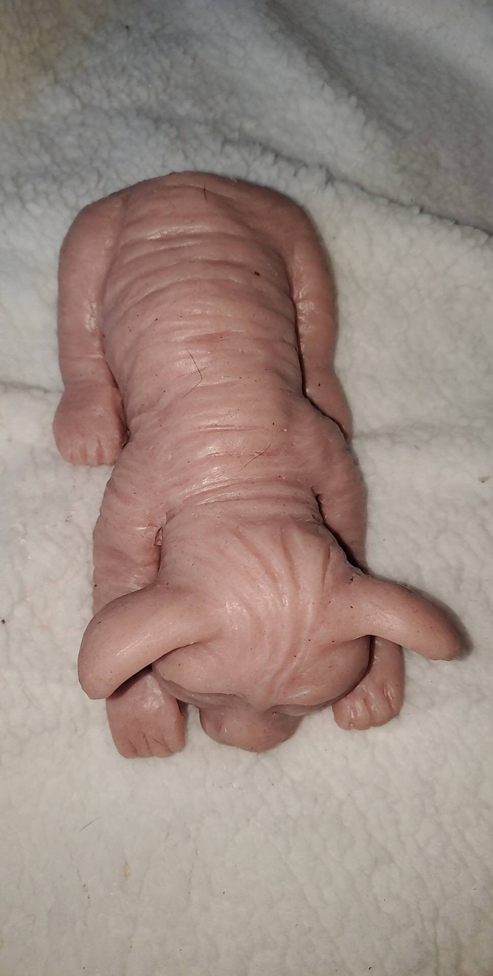 Full body silicone spyhnx cat kitten