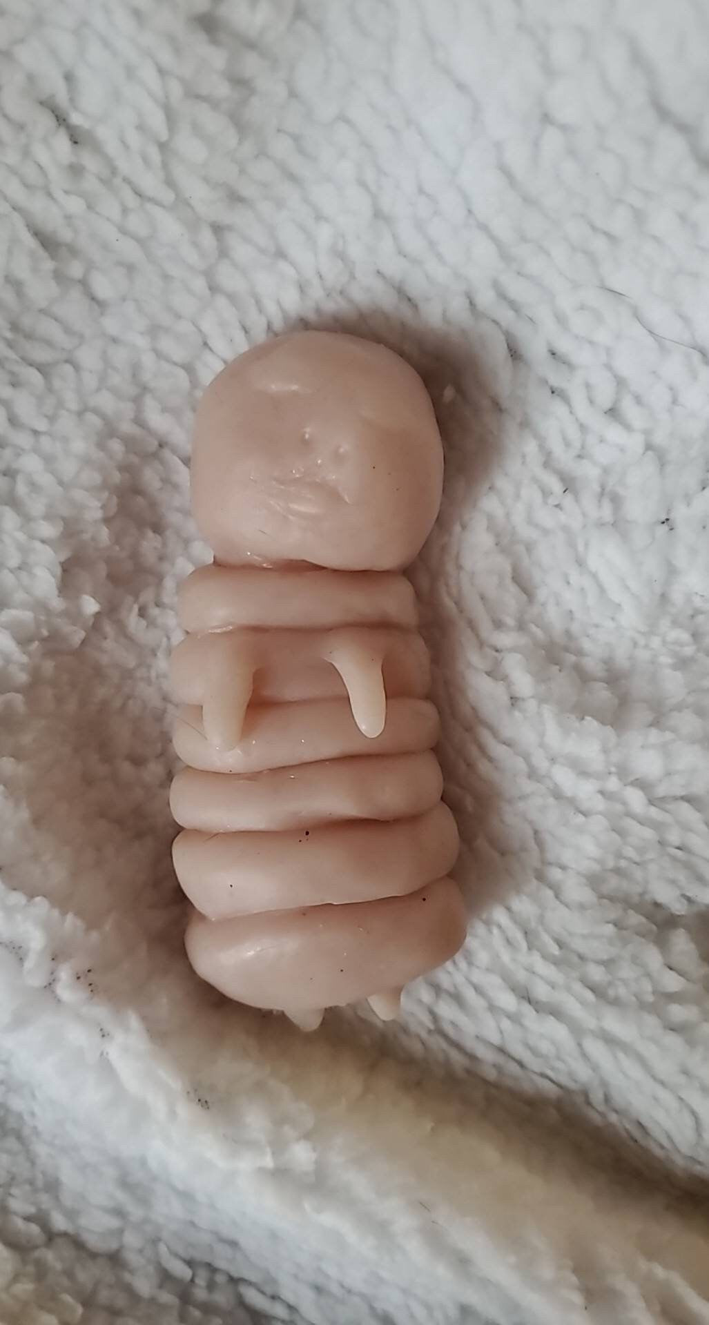 4" silicone caterpillar baby human