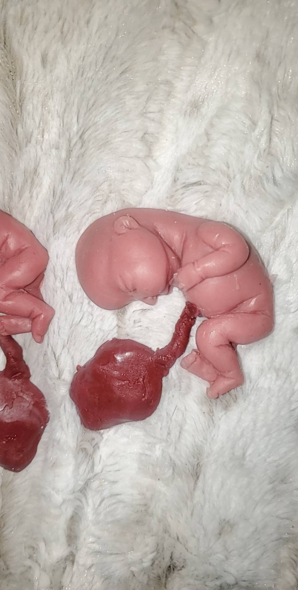 fetus silicone baby memorial with umbilical cord attached