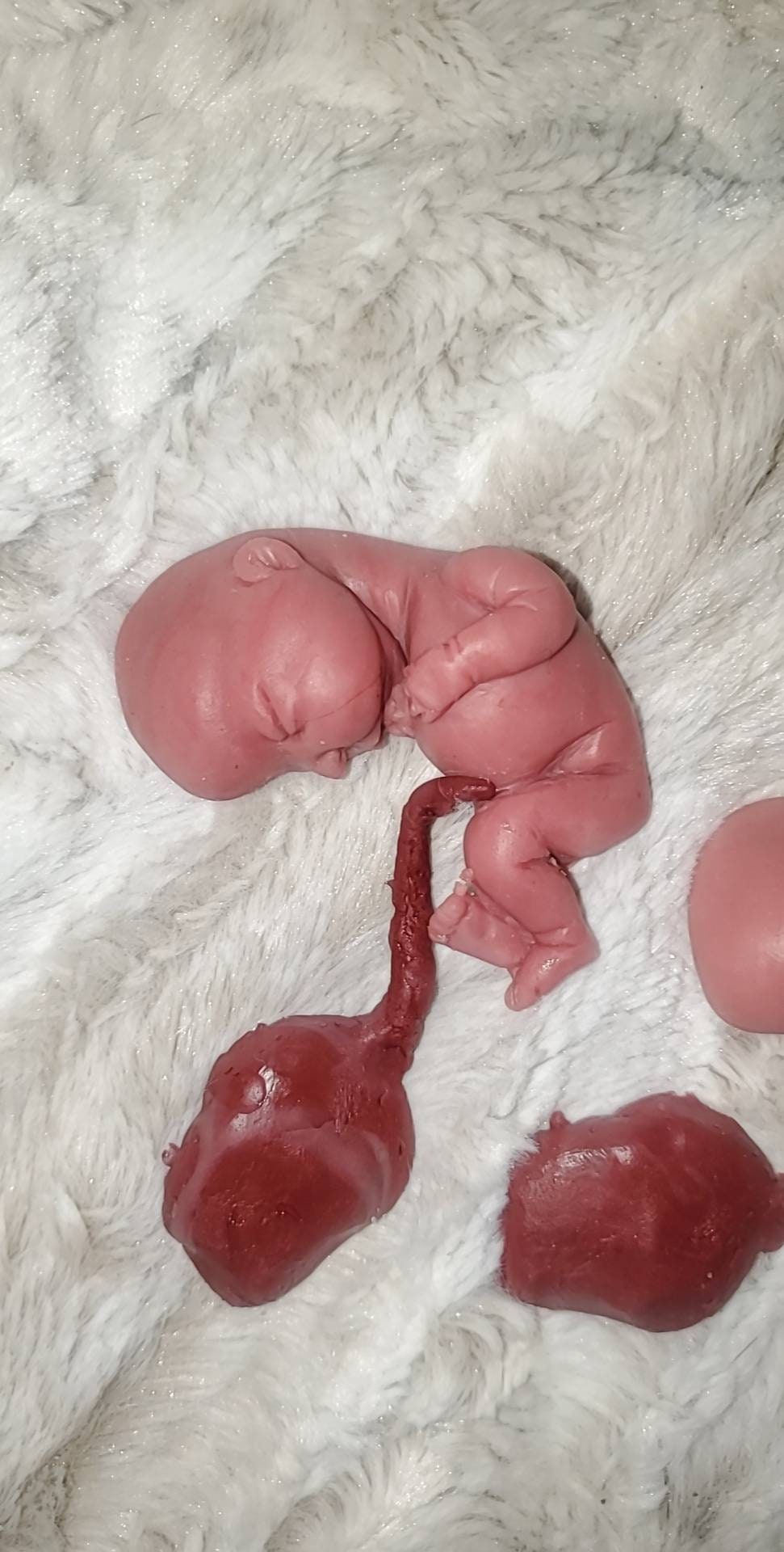 fetus silicone baby memorial with umbilical cord attached