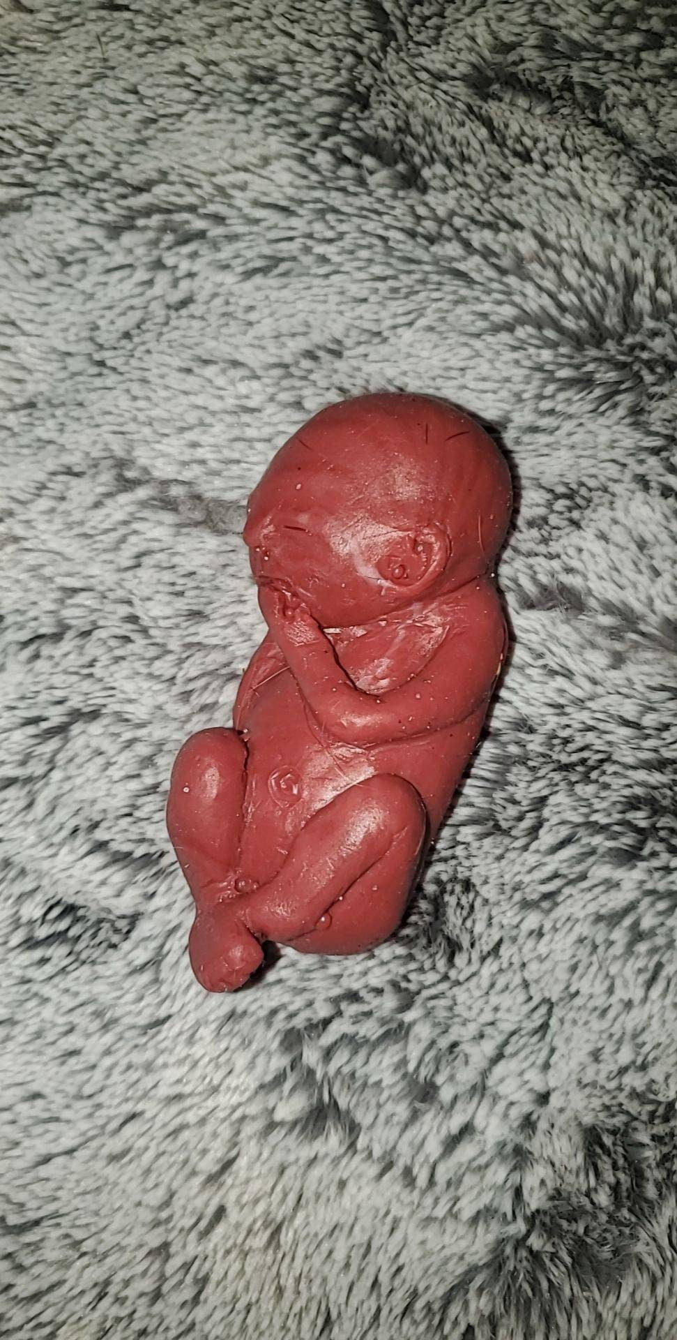 19 week silicone memorial fetus baby