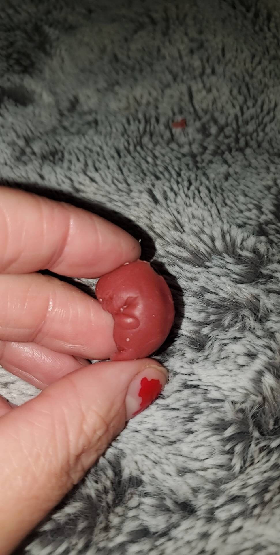 9 week silicone memorial fetus with card